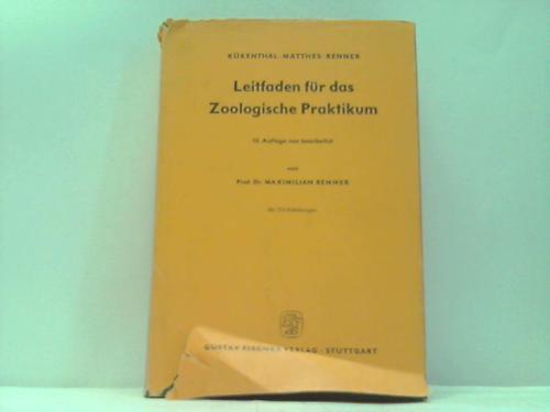 Renner, Dr. Maximilian - Leitfaden fr das Zoologische Praktikum