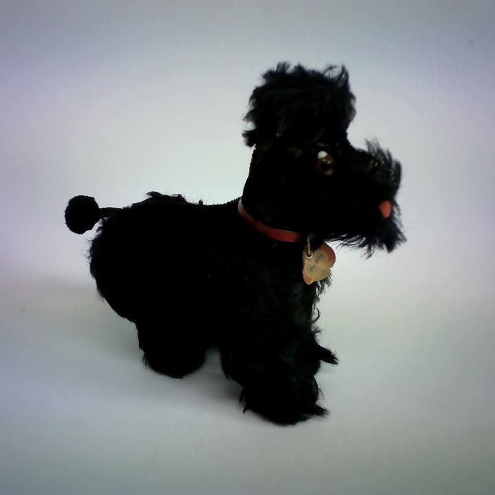 (Plschtier / Stofftier) - Steiff Pudel Snobby