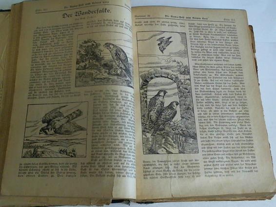 (Kinderzeitschriften) - Die Rama-Post vom kleinen Coco/ Hans Kunterbunt. Heitere, nachdenkliche und seltsame Geschichten/ Die Blaubandwoche. Sammlung von 36 Heften in einem Band