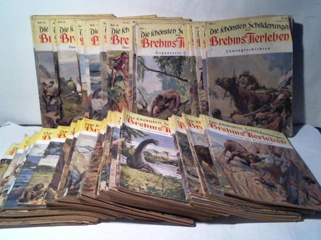 Die schnsten Schilderungen aus Brehms Tierleben - Sammlung von 82 Heften. Nummer 1 bis 83 (ohne Nummer 80)