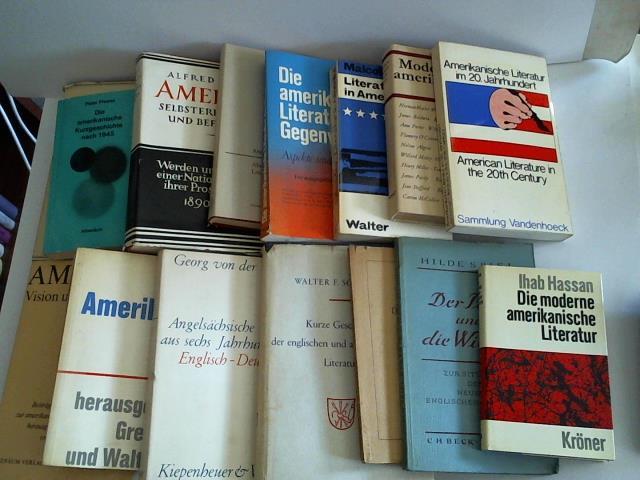 (Anglistik) - Sammlung von 15 Werken zur englischen und amerikanischen Literatur