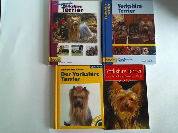 (Yorkshire Terrier) - 4 Bnde