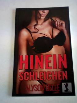 Hinein schleichen. Die Virtnet  Chroniken (Buch 1)