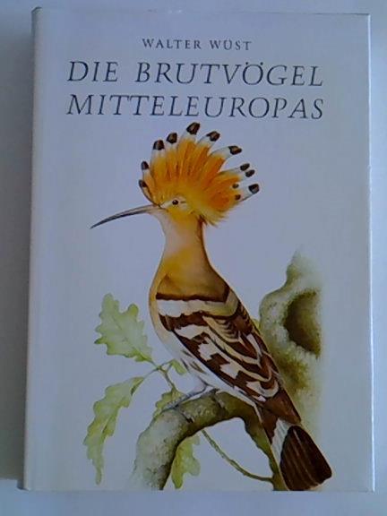 Ohne Bild