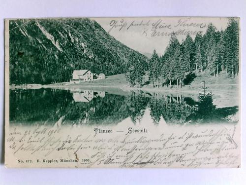 Tirol - Postkarte: Plansee - Seespitz