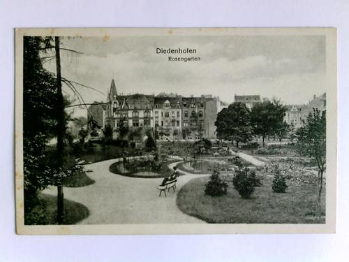 Diedenhofen (Thionville) - Postkarte: Diedenhofen - Rosengarten
