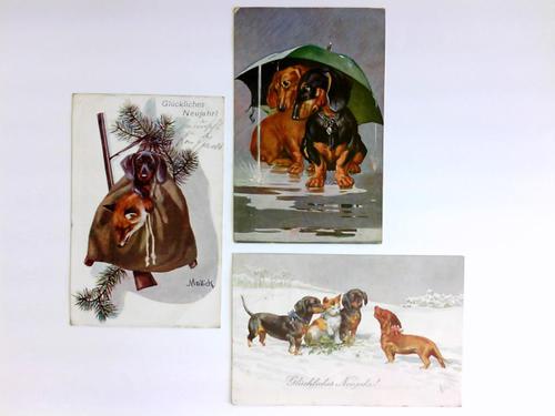 Dackel - Hunde - 3 Postkarten
