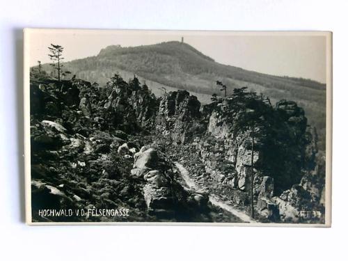 Zittauer Gebirge - Postkarte: Hochwald v.d. Felsengasse