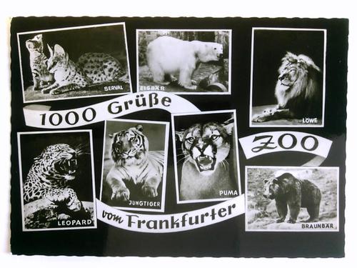 Frankfurt am Main - 1 Postkarte: 1000 Gre vom Frankfurter Zoo