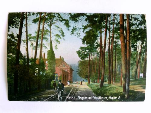 Halle (Saale) - 1 Postkarte: Heide. Eingang mit Waldkater, Halle S.