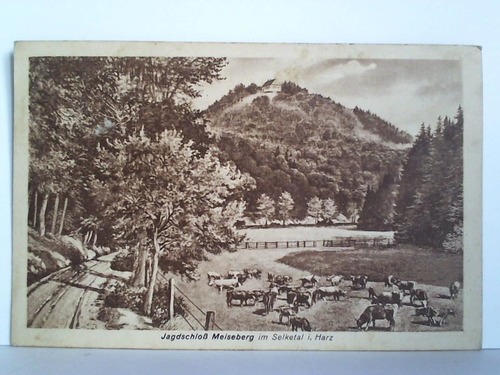(Harz) - Postkarte: Jagdschlo Meiseberg im Selketal i. Harz