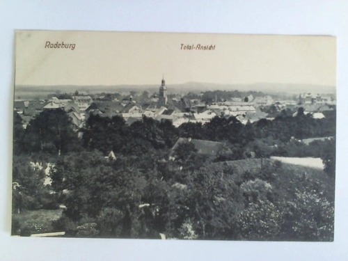 Radeburg (Sachsen) - Postkarte: Radeburg, Total-Ansicht