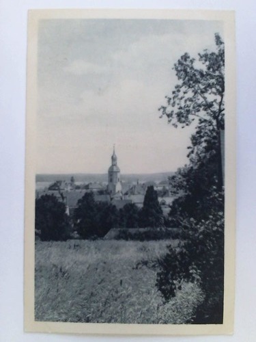 Radeburg (Sachsen) - Postkarte: Radeburg, Sachsen - Gesamtansicht