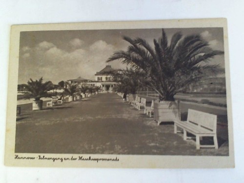 (Hannover) - Palmengang an der Maschseepromenade