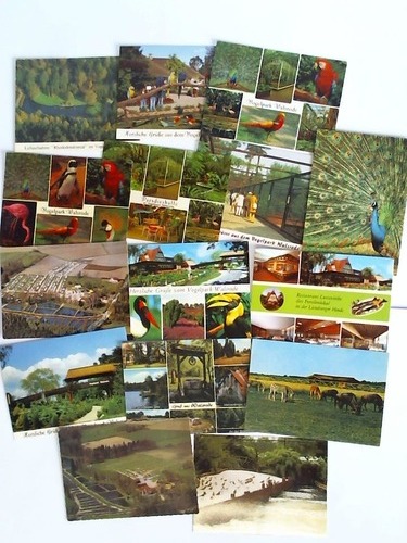 (Walsrode) - 15 verschiedene Ansichtskarten vom Vogelpark Walsrode und der Waldwirtschaft Wiesenhhe