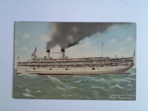 (Dampfschifffahrt) - Ansichtskarte: Excursion Steamer Theo. Roosevelt