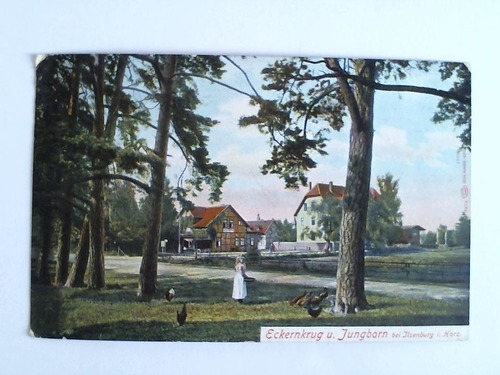 (Ilsenburg / Harz) - Ansichtskarte: Eckernkrug u. Jungborn bei Ilsenburg i. Harz