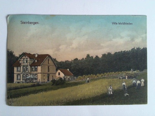 (Steinbergen) - Ansichtskarte: Steinbergen - Villa Waldfrieden