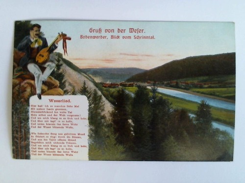 (Bodenwerder) - Ansichtskarte: Gru von der Weser. Bodenwerder, Blick vom Schrinntal