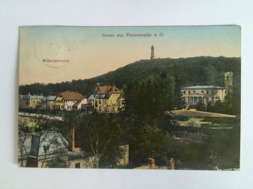 (Freienwalde / Oder) - Ansichtskarte: Gruss aus Freienwalde a. O. - Wilhelmstrasse