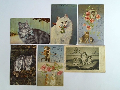 (Katzen) - 6 Ansichtskarten mit verschiedenen Katzen-Motiven