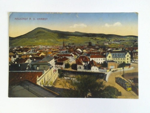(Neustadt) - Ansichtskarte: Neustadt a. d. Haardt - Gesamtansicht aus der Vogelperspektive