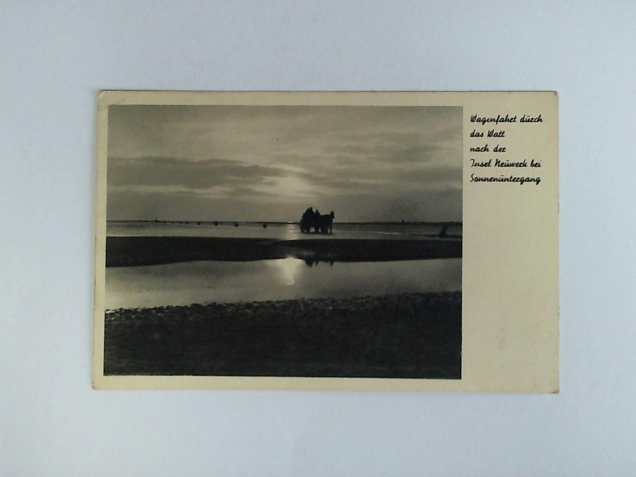 (Neuwerk, Insel / Helgolnder Bucht) - Ansichtskarte: Wagenfahrt durch das Watt nach der Insel Neuwerk bei Sonnenuntergang