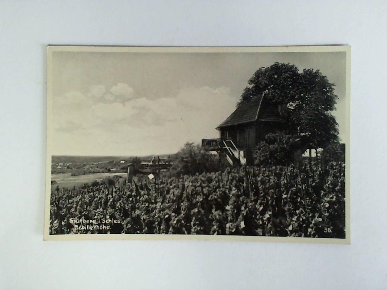 (Grnberg / Schlesien) - Ansichtskarte: Grnberg i. Schles., Schillerhhe