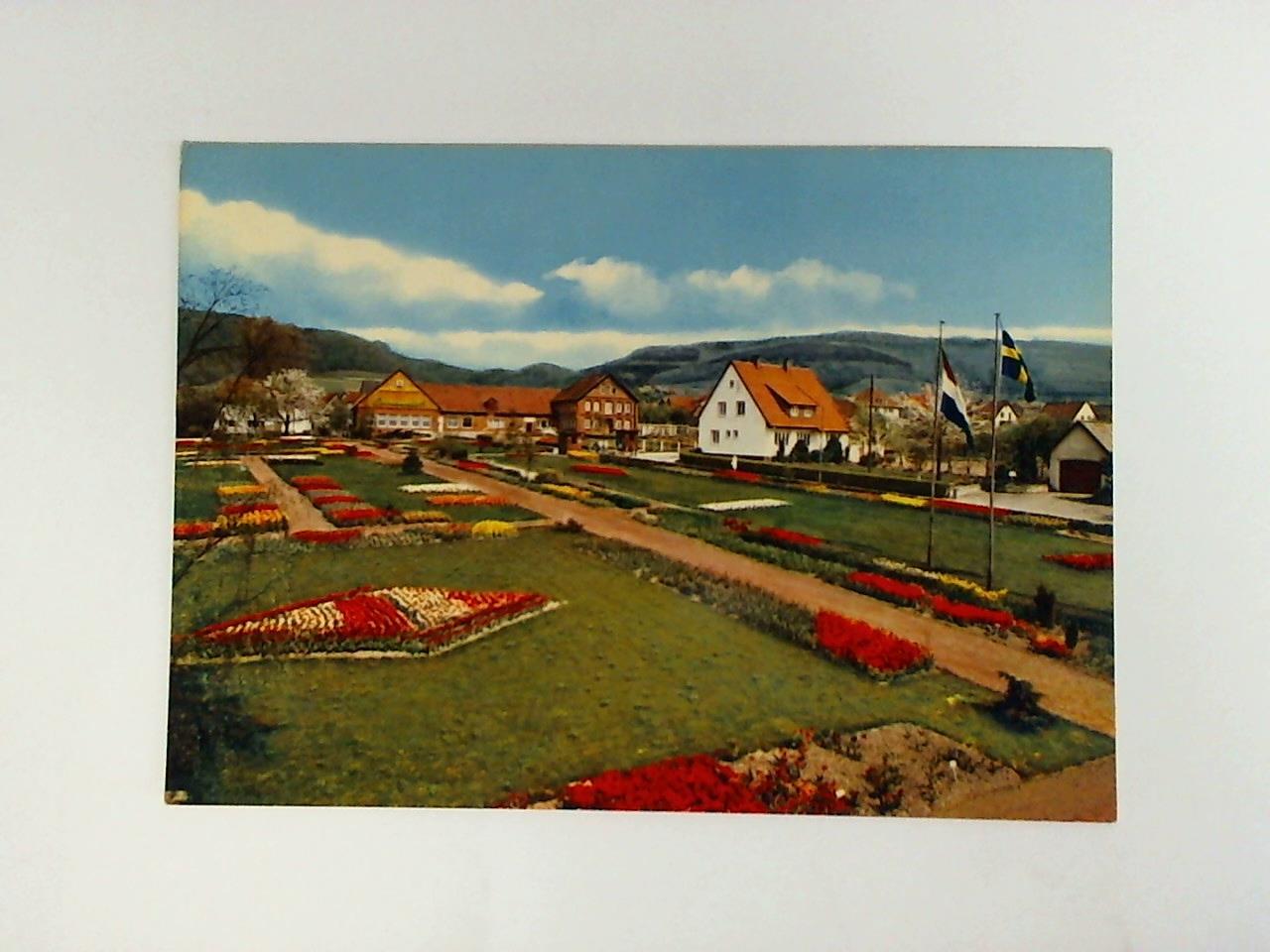 (Deckbergen / Niedersachsen) - Ansichtskarte: Der Essmannshof - Deutschlands grte Tulpenschau, Deckbergen