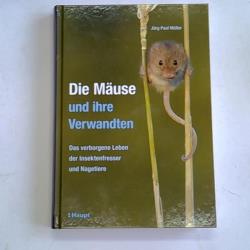 Ohne Bild