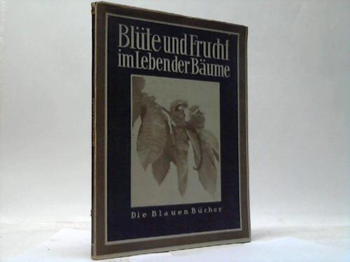 Bartels, Karl Otto - Blte und Frucht im Leben der Bume