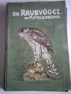 ohne Bild