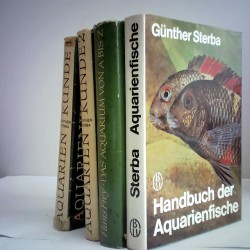 ohne Bild