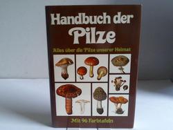ohne Bild