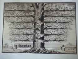 ohne Bild