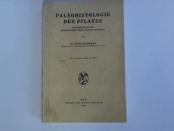 ohne Bild