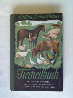 ohne Bild