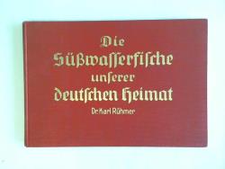 ohne Bild