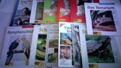 ohne Bild