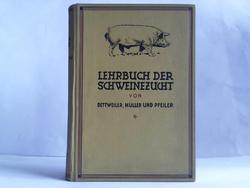 ohne Bild