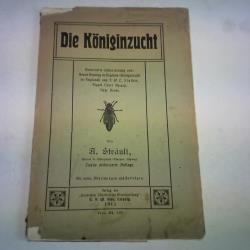 ohne Bild