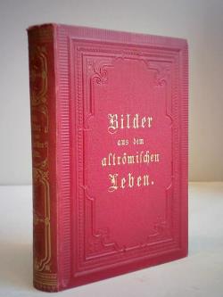ohne Bild