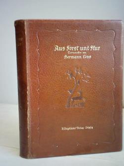 ohne Bild