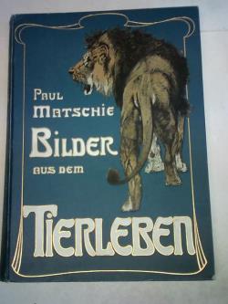 ohne Bild