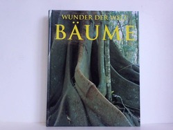 ohne Bild