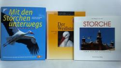 ohne Bild