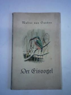 ohne Bild