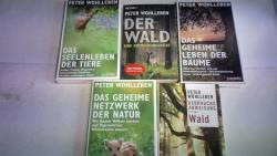 ohne Bild