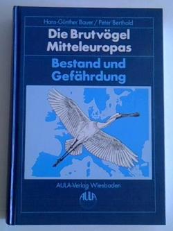 ohne Bild