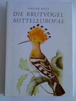 ohne Bild